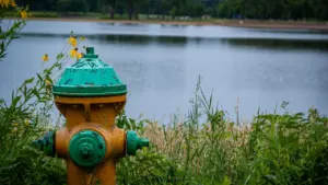 Ein gelber Hydrant steht in grüner Wiese vor einem See in einem Park.