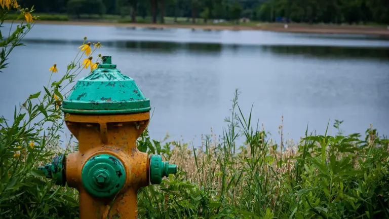 Ein gelber Hydrant steht in grüner Wiese vor einem See in einem Park.