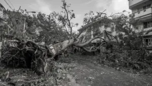 Ein umgestürzter Baum liegt nach einem Unwetter neben zwei Wohngebäuden auf einer Straße.