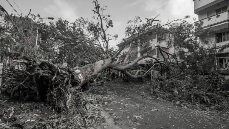 Ein umgestürzter Baum liegt nach einem Unwetter neben zwei Wohngebäuden auf einer Straße.