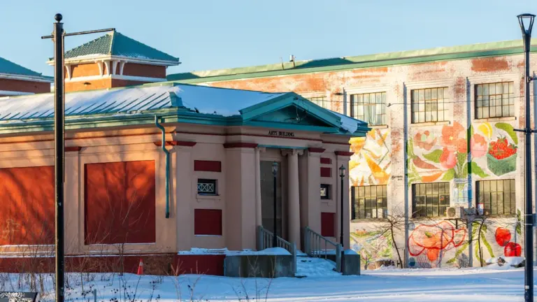 Ein historisches Backsteingebäude mit Wandgemälde in Braunschweig an einem verschneiten Wintertag.
