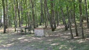 Öffentlicher Grillplatz mit gemauertem Grill im Wald für sichere Freizeitaktivitäten.