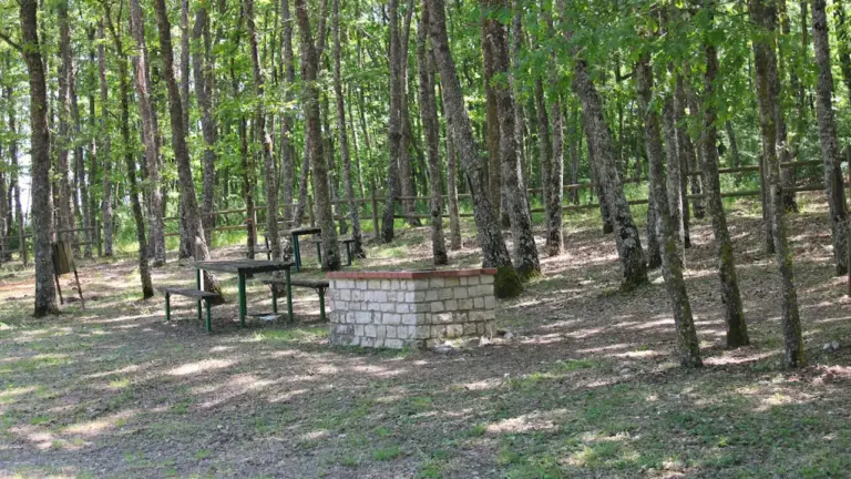 Öffentlicher Grillplatz mit gemauertem Grill im Wald für sichere Freizeitaktivitäten.