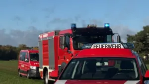 Ein rotes Feuerwehr-Einsatzfahrzeug und ein Löschfahrzeug parken auf einer grünen Wiese unter blauem Himmel.