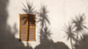 Geschlossene Holzklappläden vor einer Hauswand mit Schatten von Palmenblättern in der Sonne.