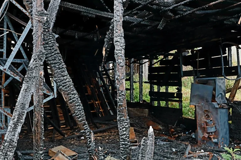 Scheunenbrand bei Reutlingen: Feuerwehr rettet rund 100 Kühe