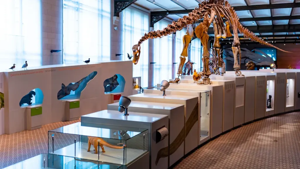 Schwerin baut Mueß um: Das erwartet Museumsbesucher