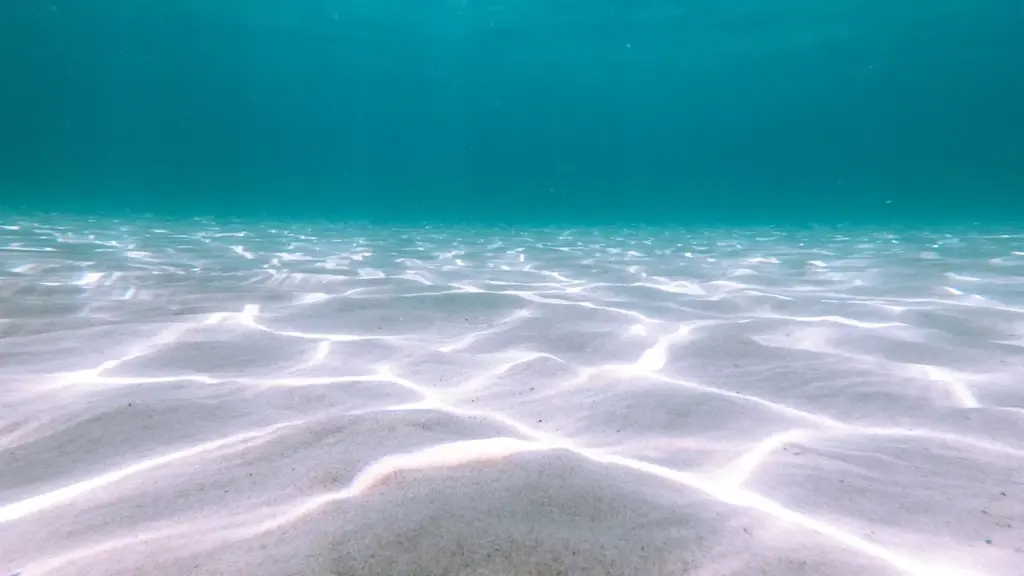 Ein ruhiger Blick unter die Wasseroberfläche an einem sonnigen Tag im klaren Wasser.