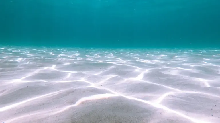 Ein ruhiger Blick unter die Wasseroberfläche an einem sonnigen Tag im klaren Wasser.