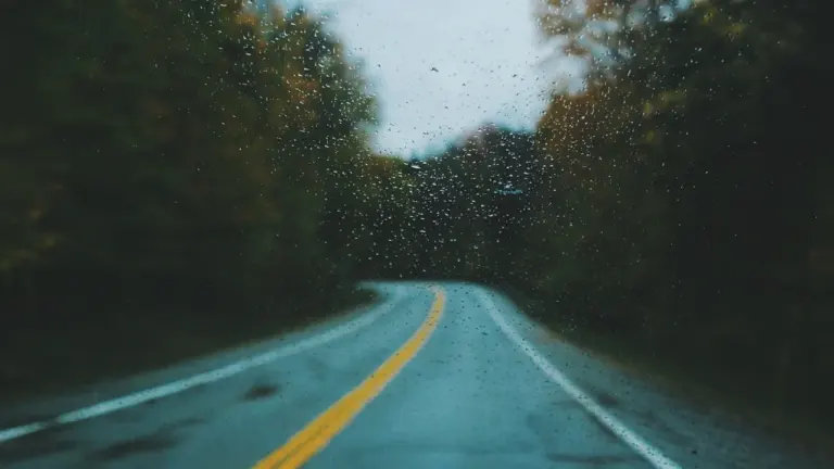 Regennasse Straße durch ein Waldgebiet bei grauem, trübem Wetter.