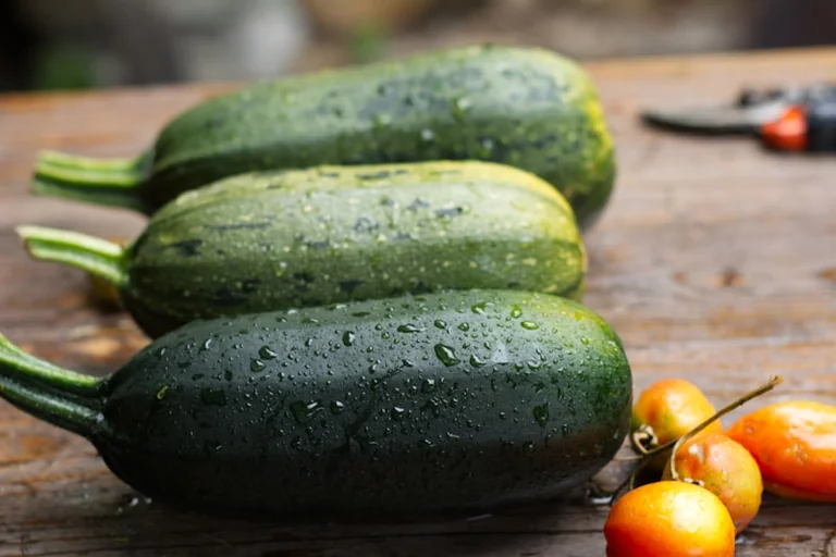 Zucchini-Pfanne mit Kirschtomaten und Feta für den August