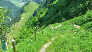 Ein schmaler Pfad durch eine grüne Berglandschaft mit weitem Blick ins Tal.