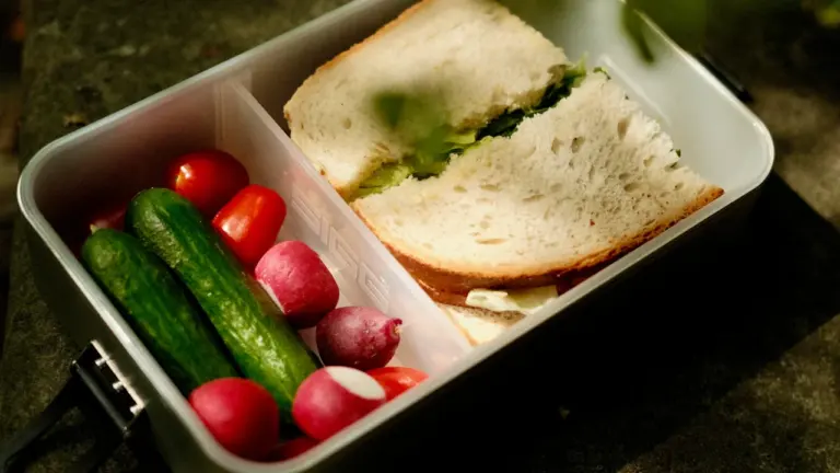 Eine praktische Lunchbox gefüllt mit einem Sandwich, frischen Gurken, Radieschen und Tomaten.