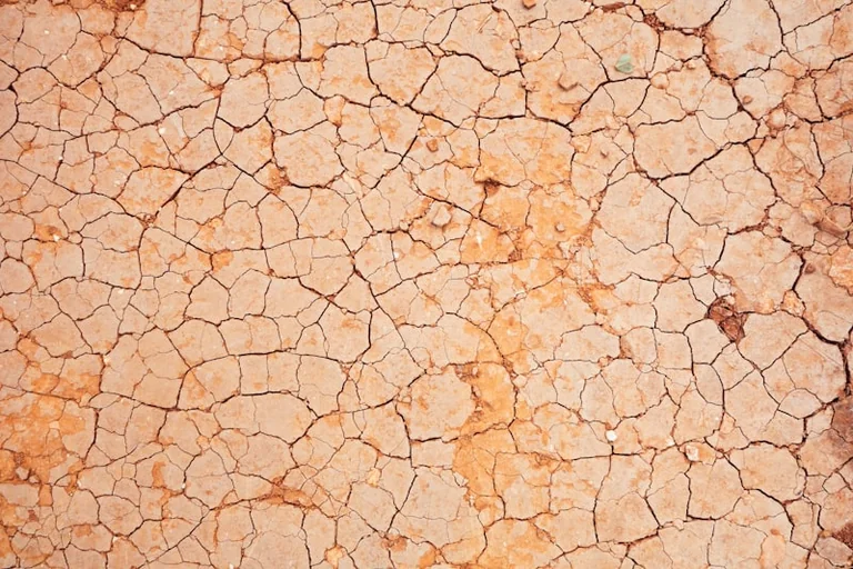 Sommer 2026: Zweitwärmster und deutlich zu trocken