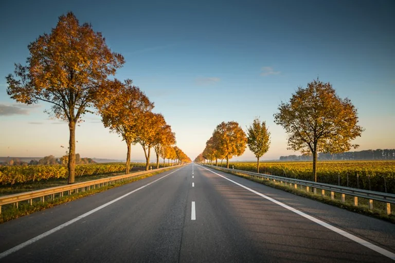 Brückentag rund um den 3. Oktober: Urlaub und Alltag planen